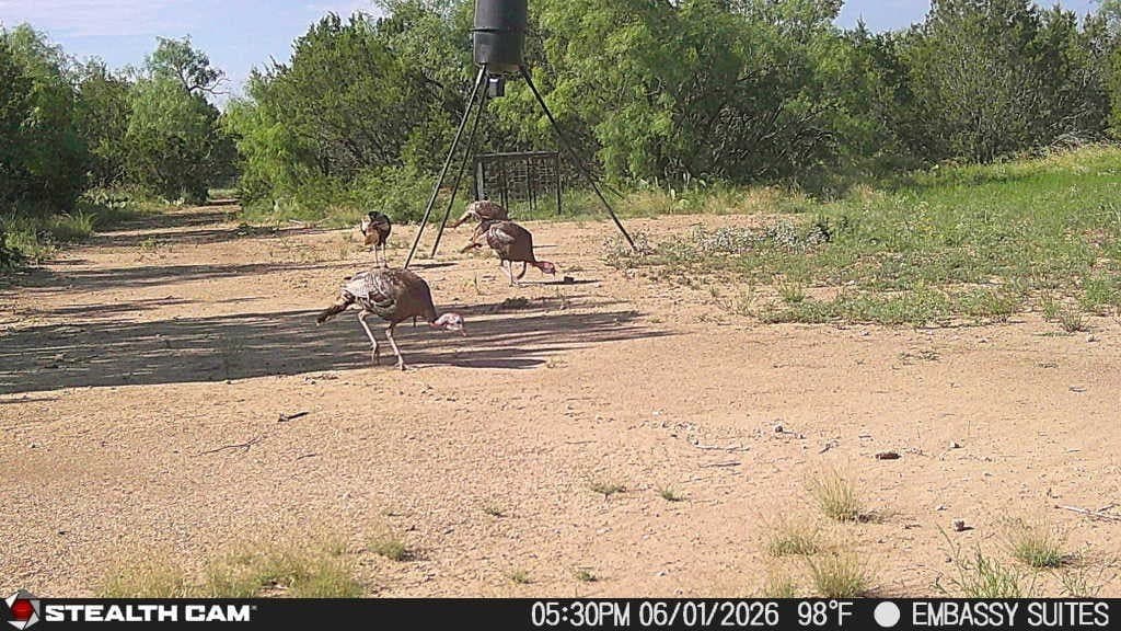 10.02 acres in Concho County - photo 5