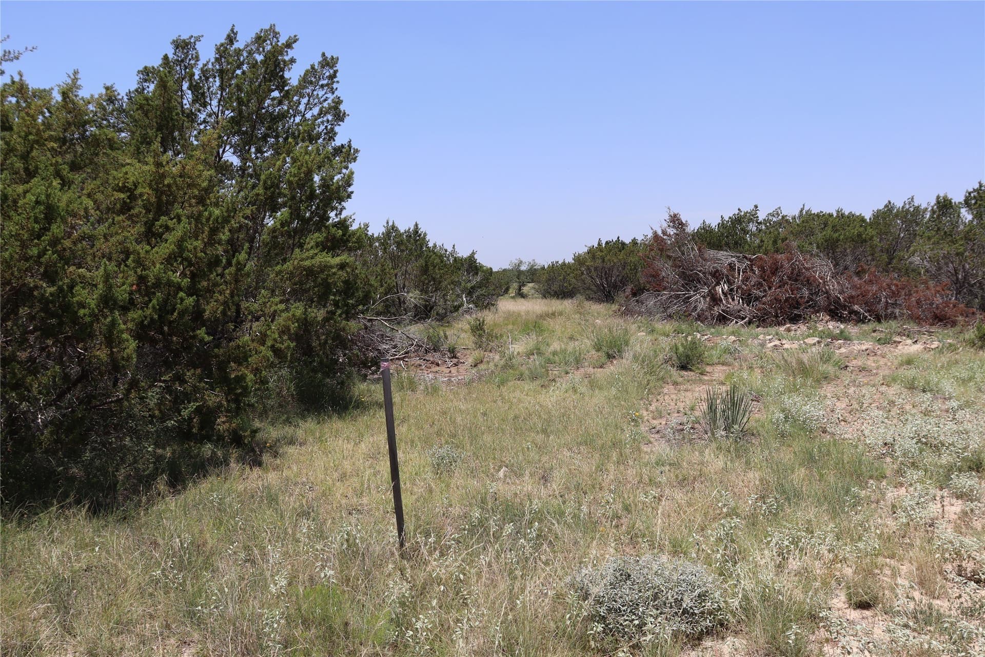 10.02 acres in Concho County - photo 21