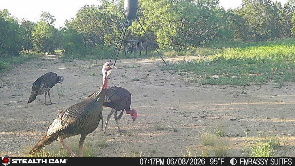 10.02 acres in Concho County - photo 6