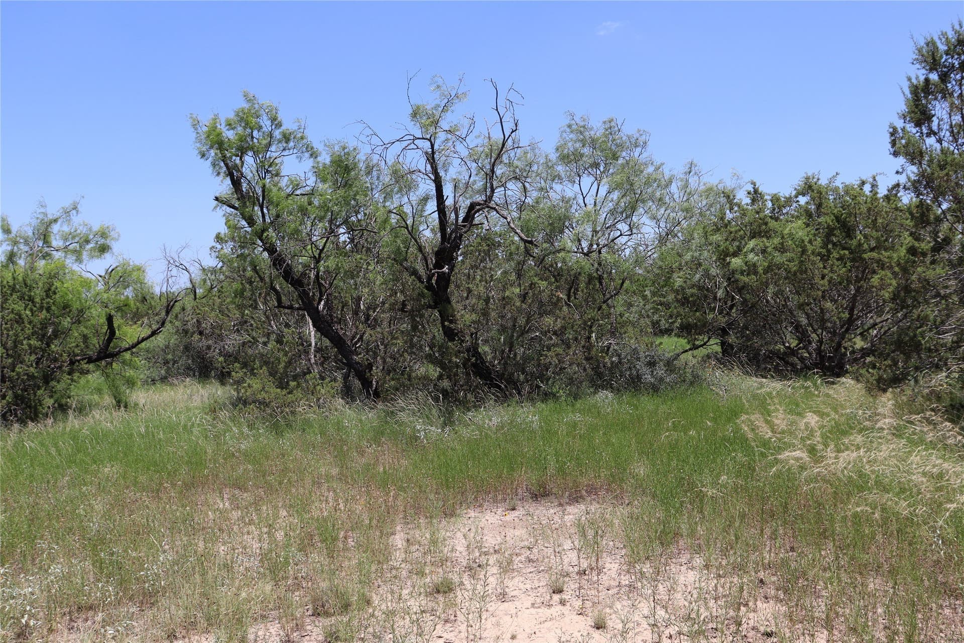 10.02 acres in Concho County - photo 26