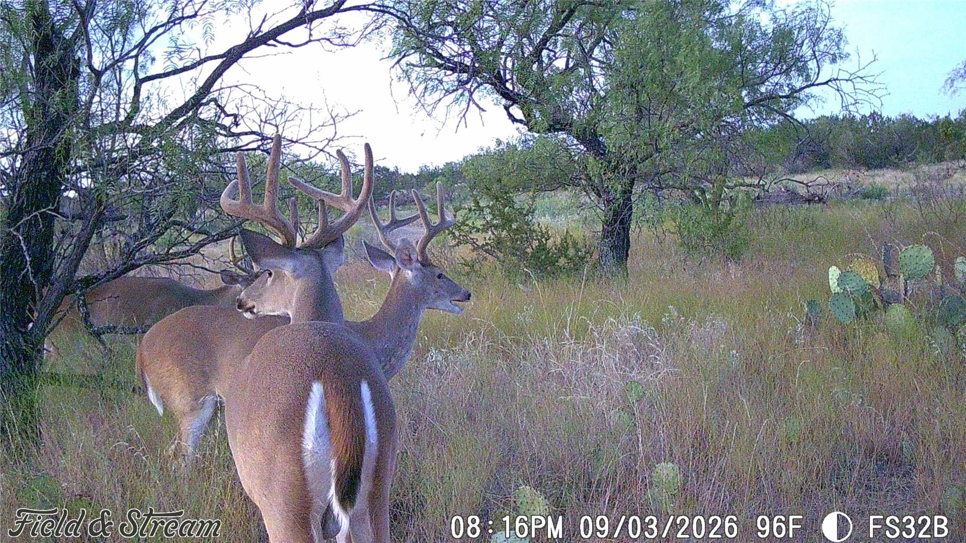 10.02 acres in Concho County - photo 6