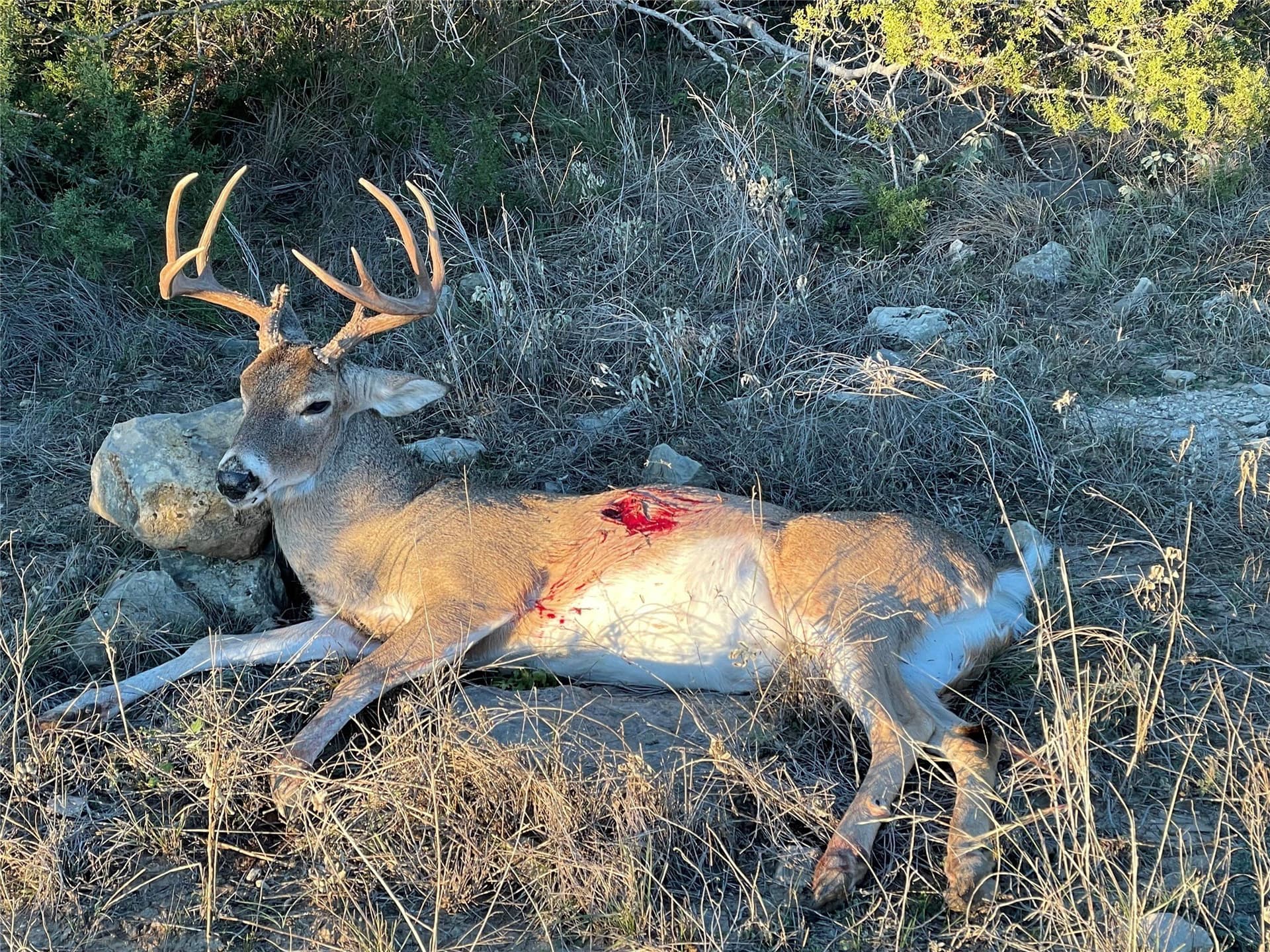 10.02 acres in Concho County - photo 11