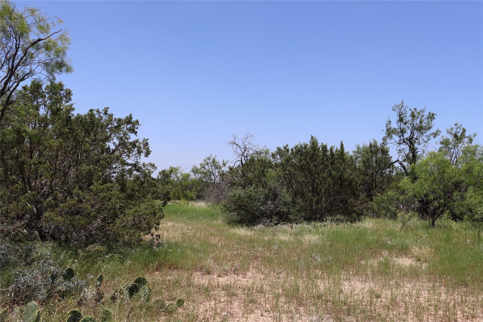 10.02 acres in Concho County - photo 28
