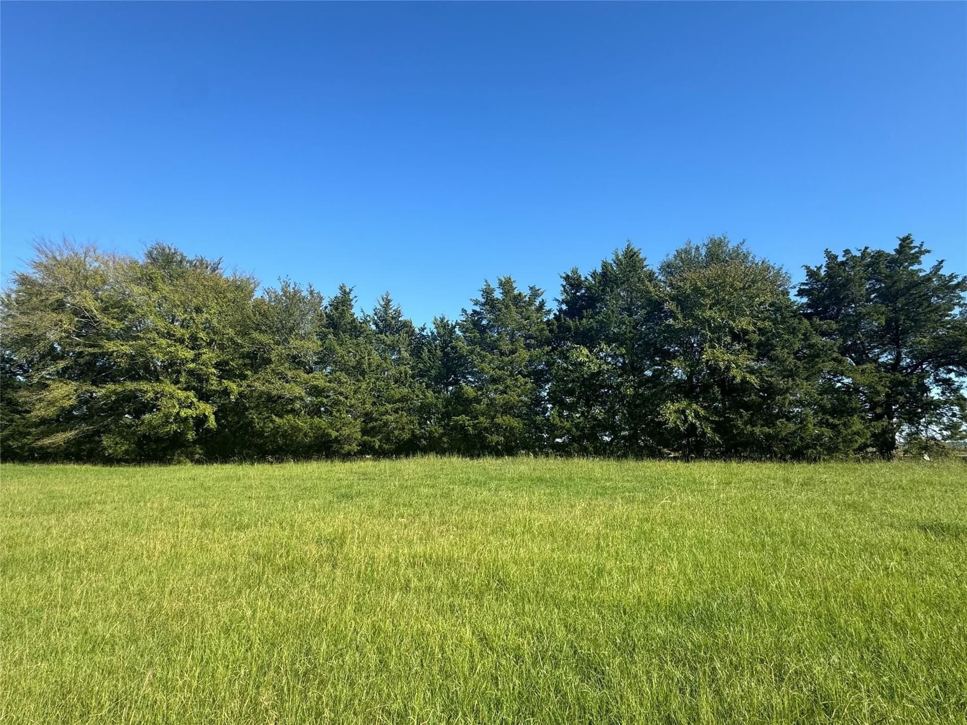 15 acres in Red River (TX) County gallery image 4
