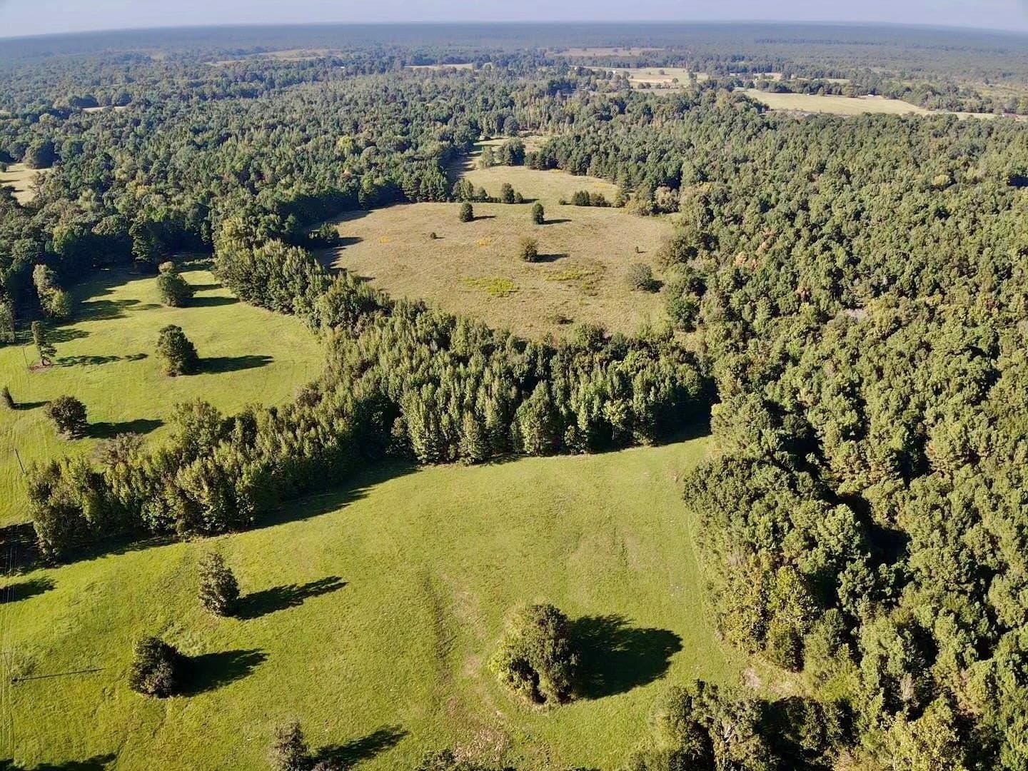 15 acres in Red River (TX) County gallery image 2