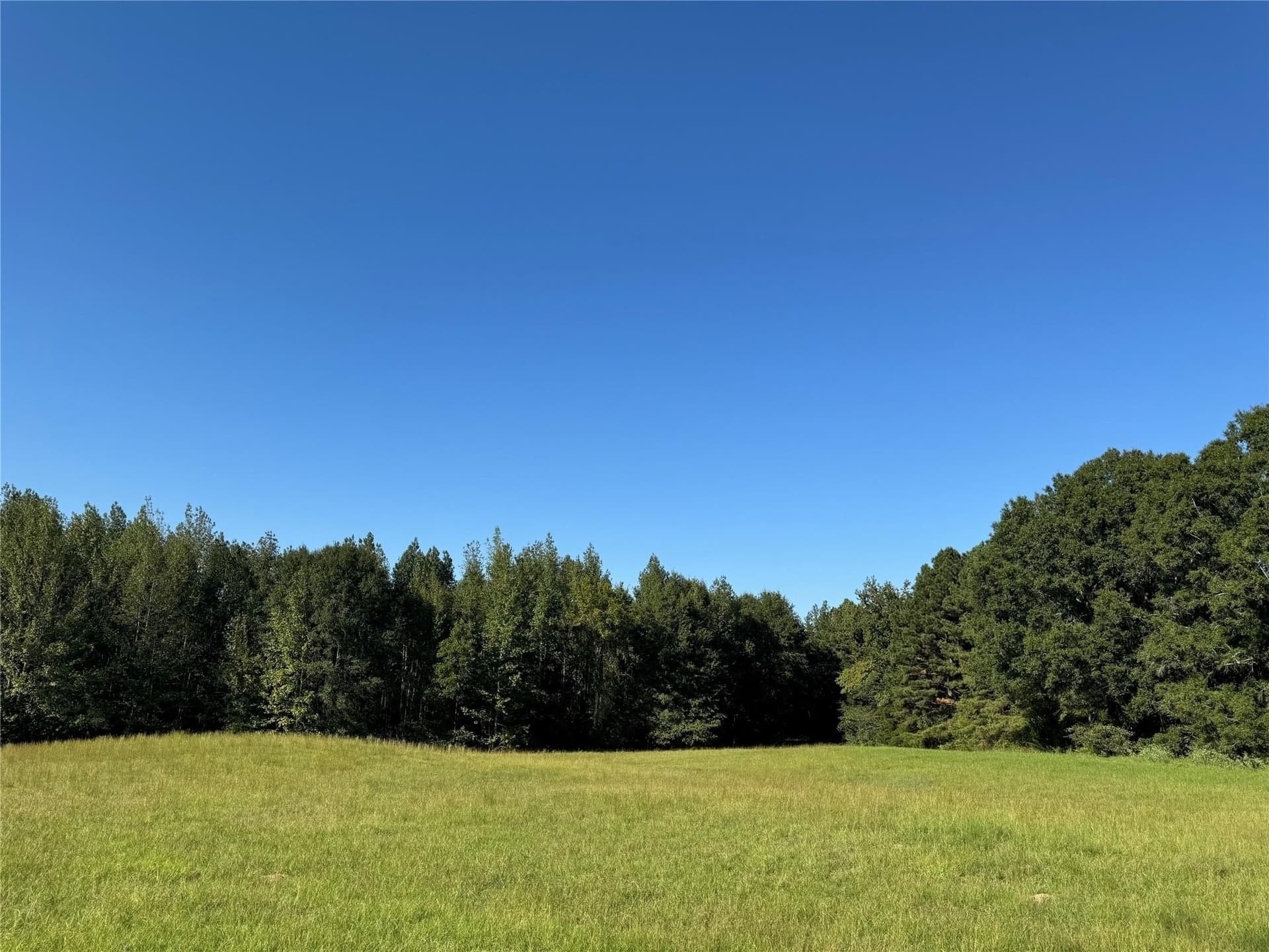 15 acres in Red River (TX) County featured view