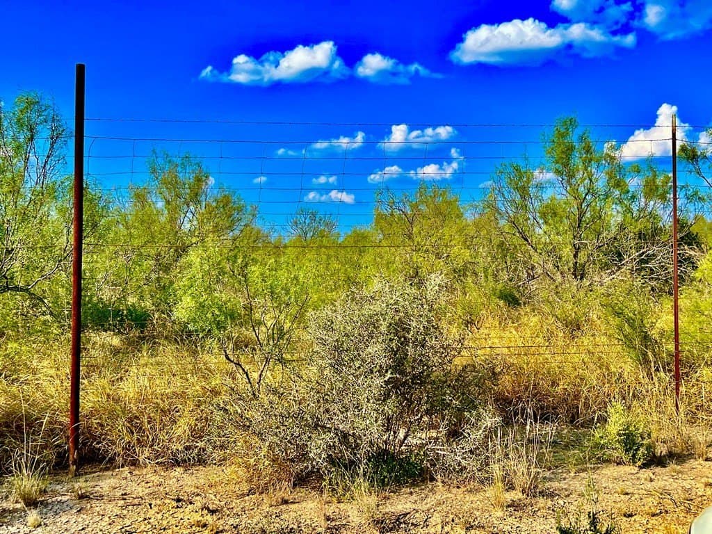 20.01 acres in Maverick County - photo 6