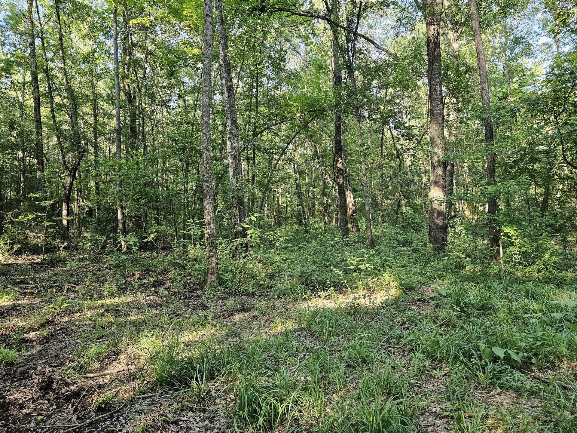 1 acres in Upshur County