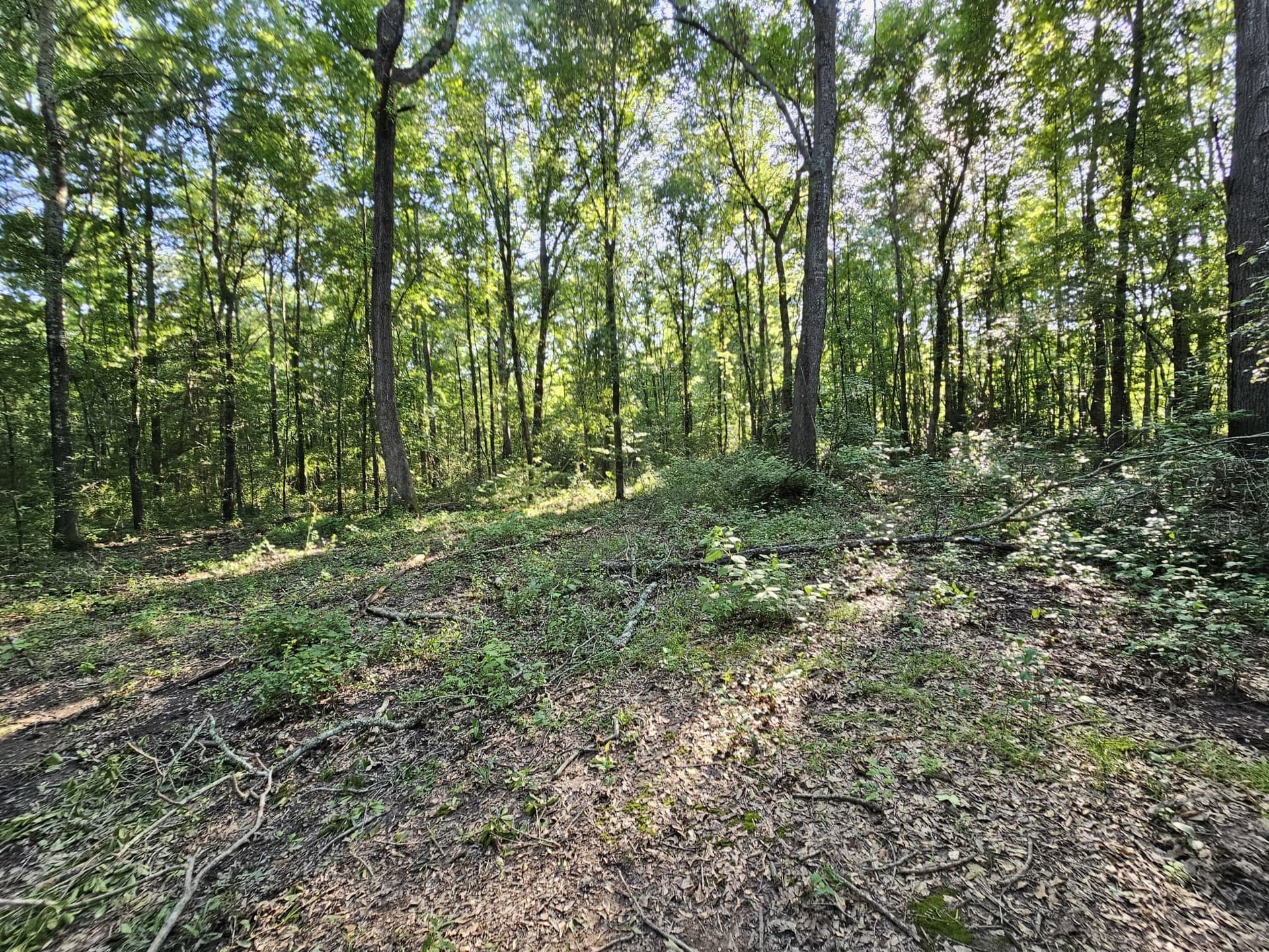 1 acres in Upshur County - photo 2