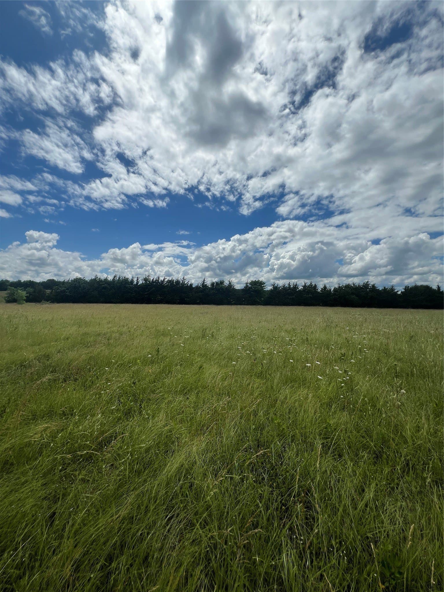 1.43 acres in Lamar County gallery image 3