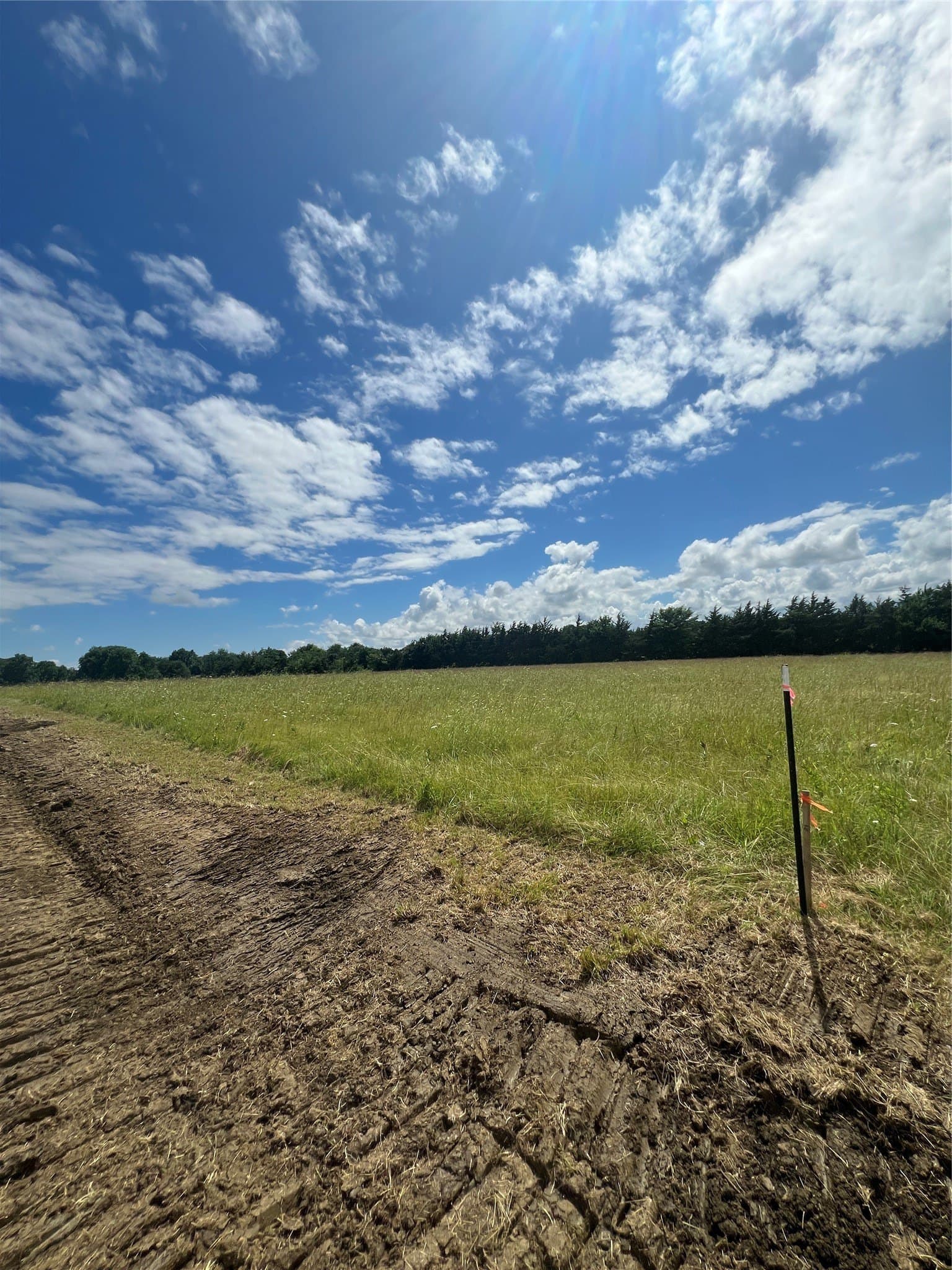 1.43 acres in Lamar County gallery image 2