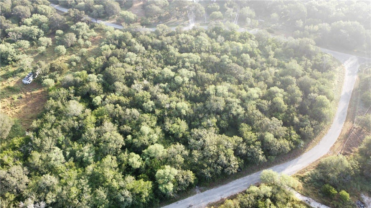 4.51 acres in Nueces County - photo 5