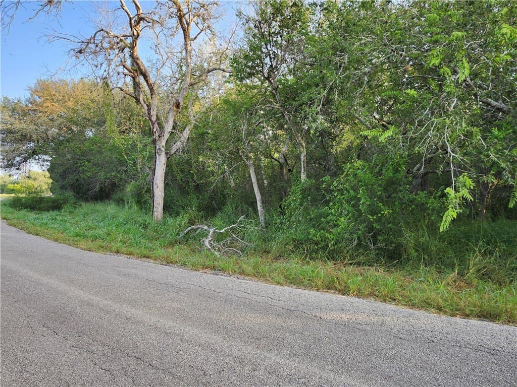 4.51 acres in Nueces County - photo 8