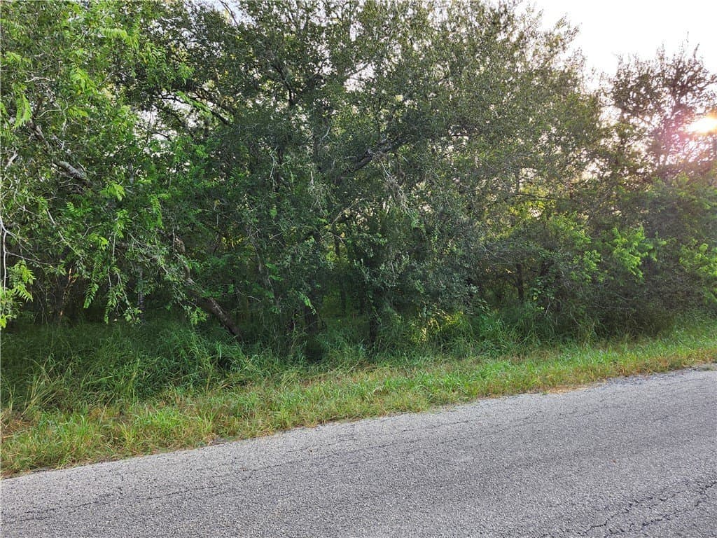 4.51 acres in Nueces County - photo 7