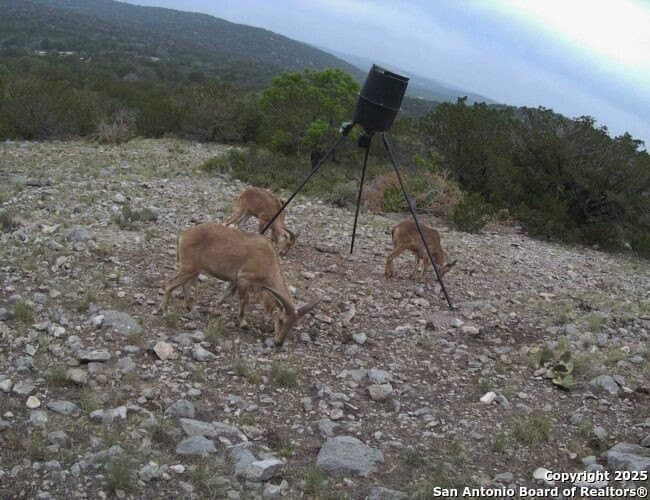 29.29 acres in Edwards County gallery image 4