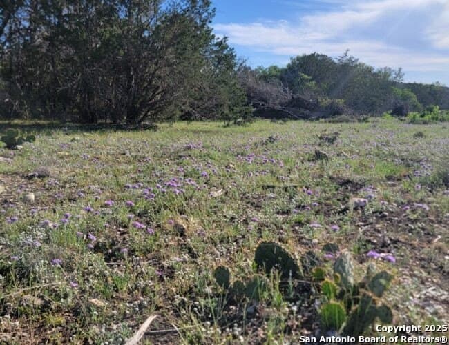 29.29 acres in Edwards County