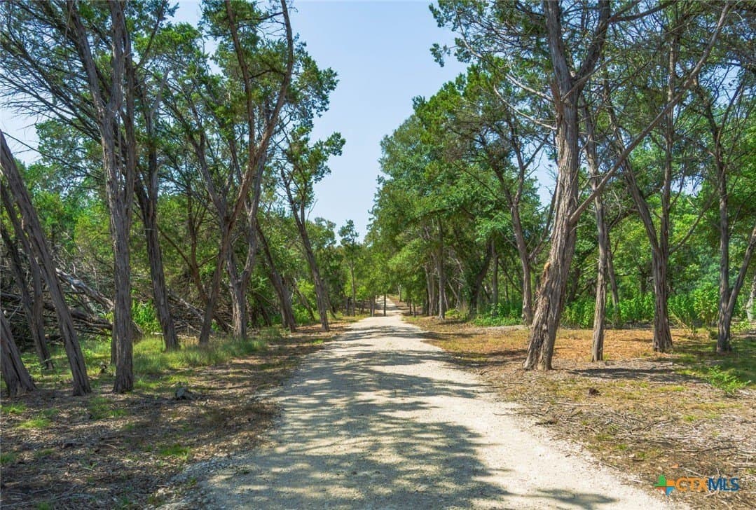 14.55 acres in Travis County gallery image 4