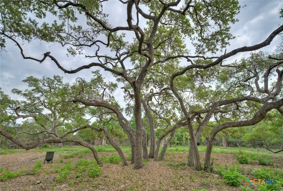 14.55 acres in Travis County gallery image 3