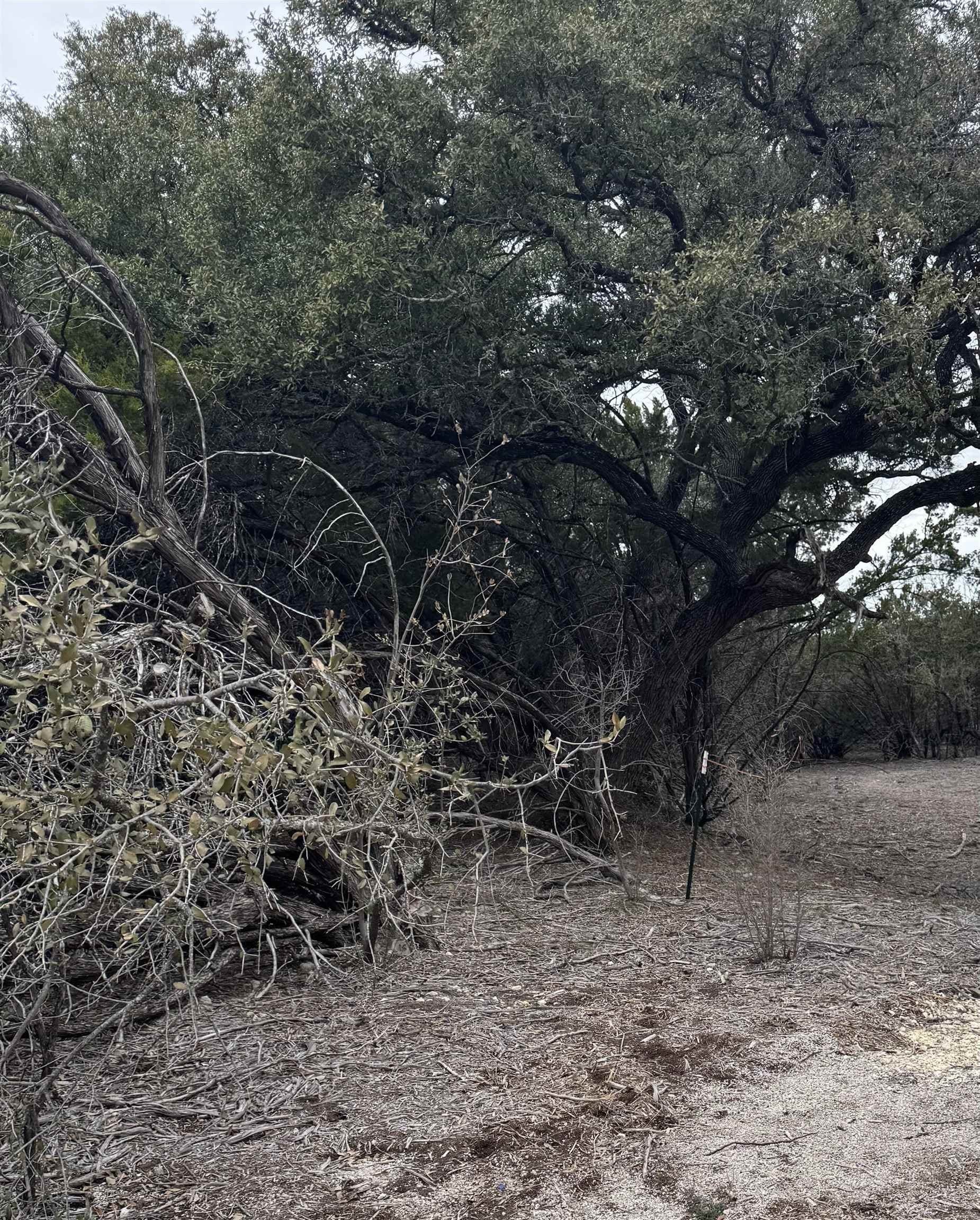 0.22 acres in Travis County - photo 24