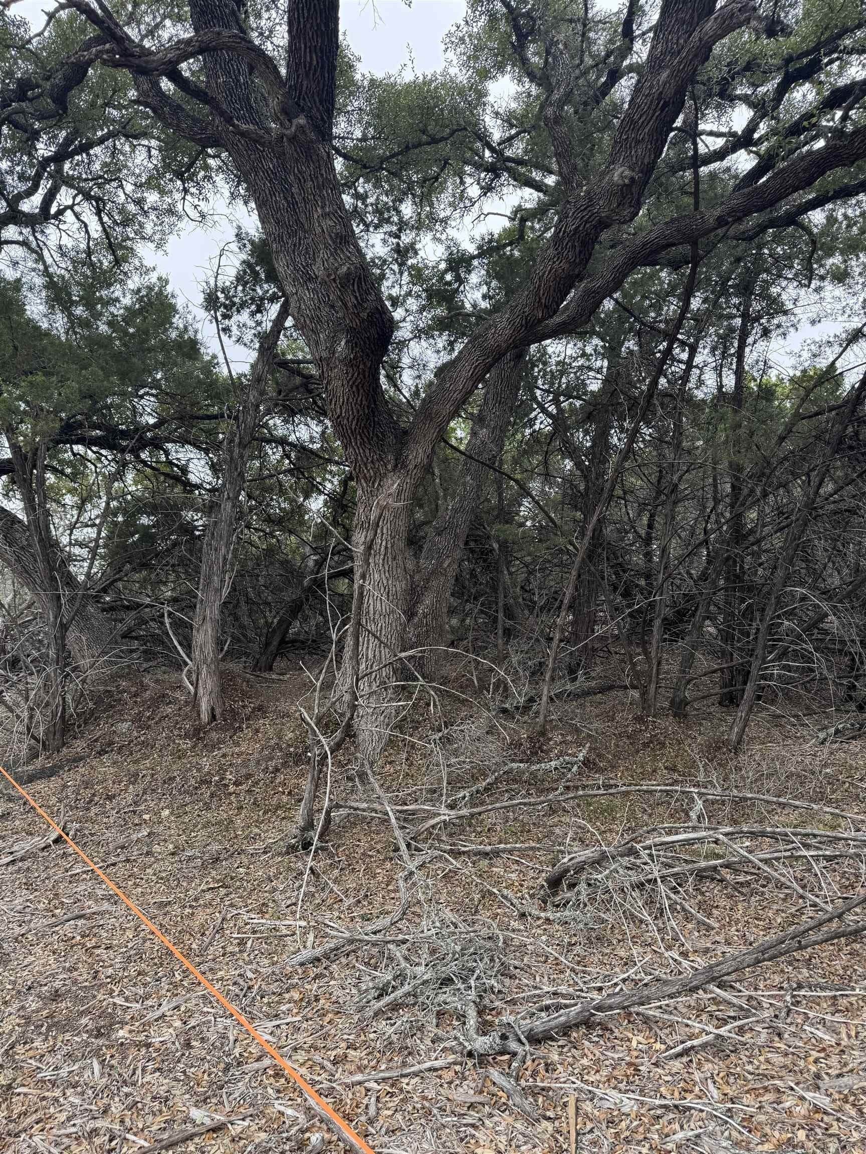 0.22 acres in Travis County - photo 9