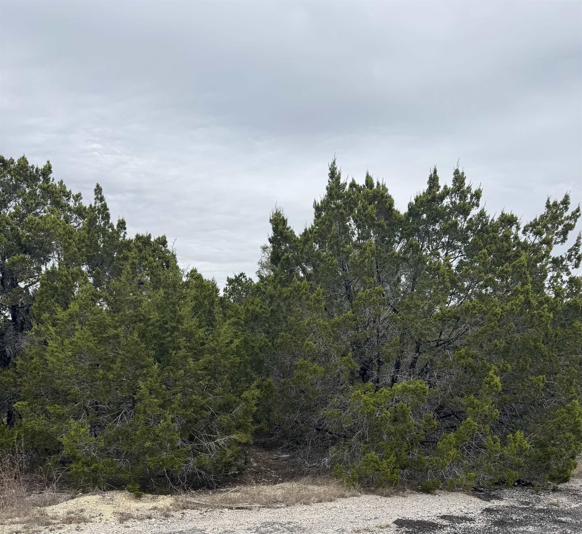 0.22 acres in Travis County gallery image 3