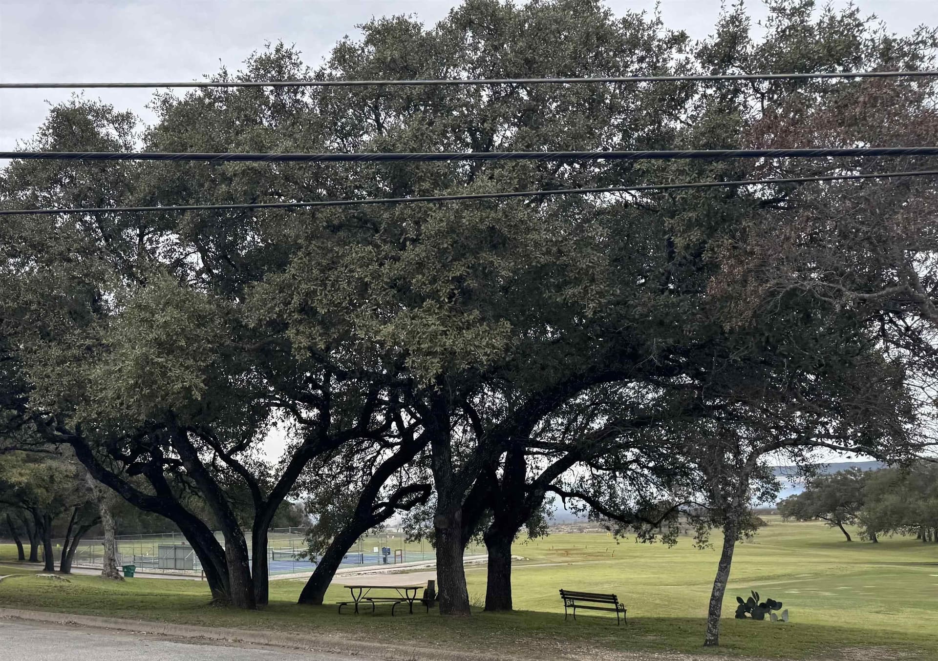 0.22 acres in Travis County - photo 19