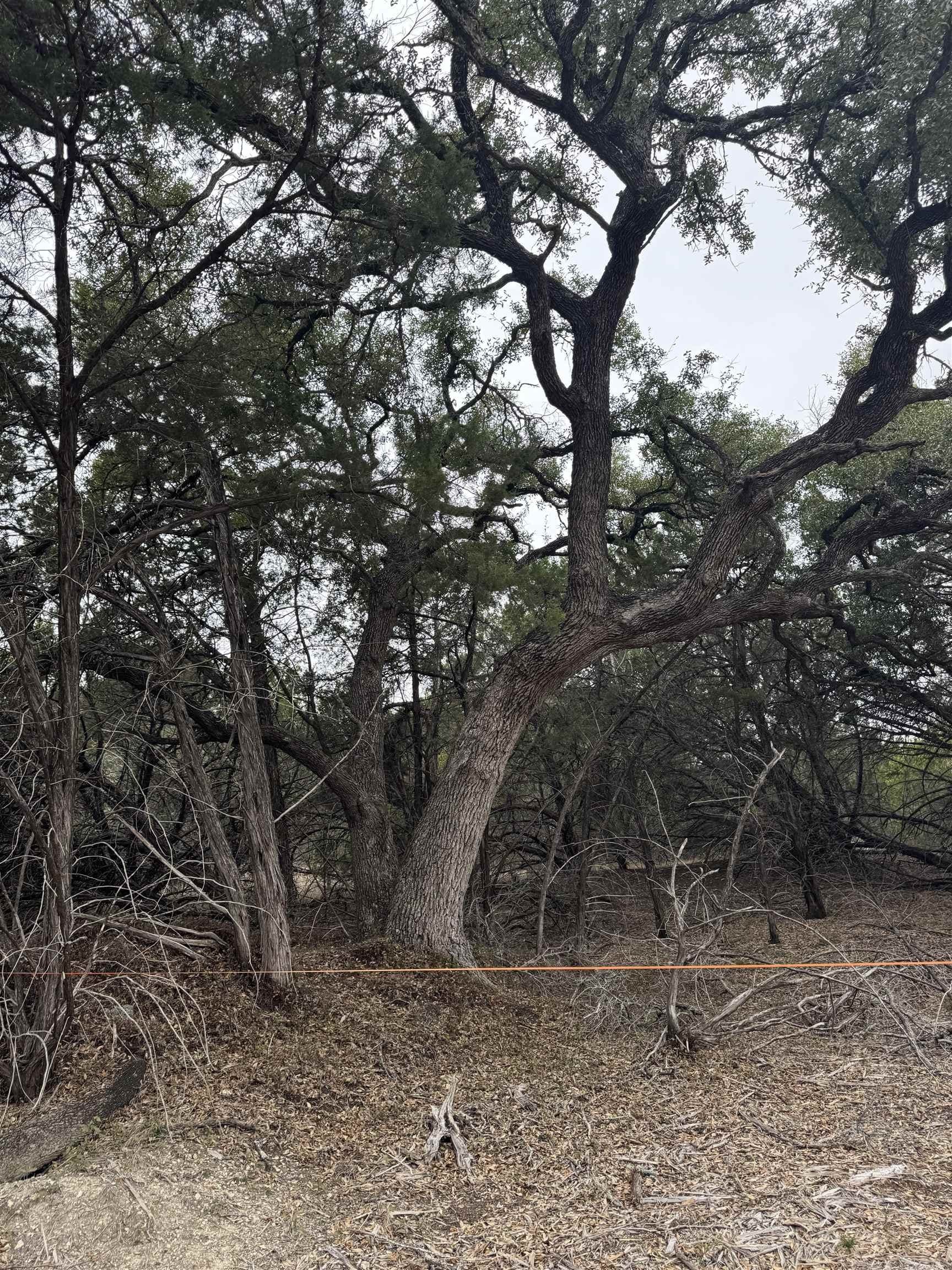 0.22 acres in Travis County - photo 6