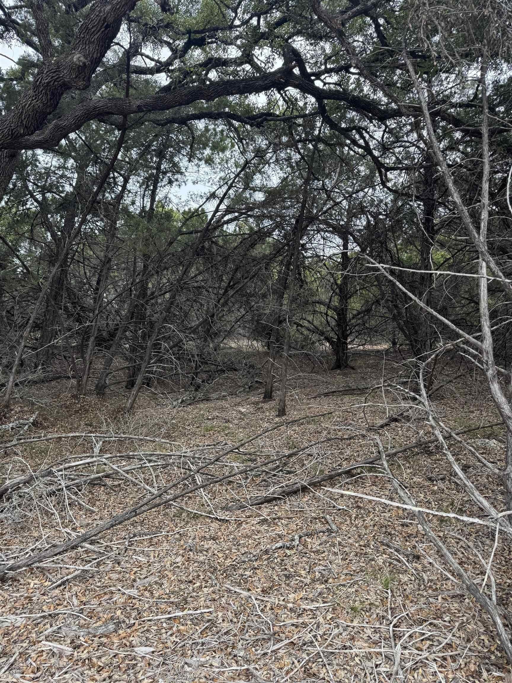 0.22 acres in Travis County - photo 8