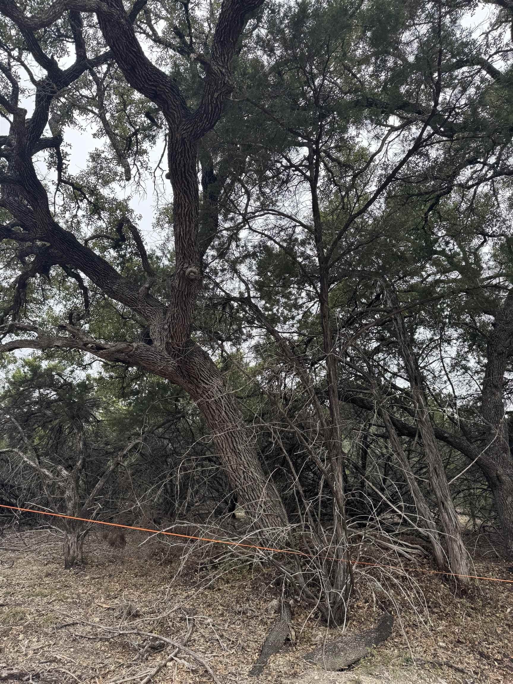 0.22 acres in Travis County - photo 7