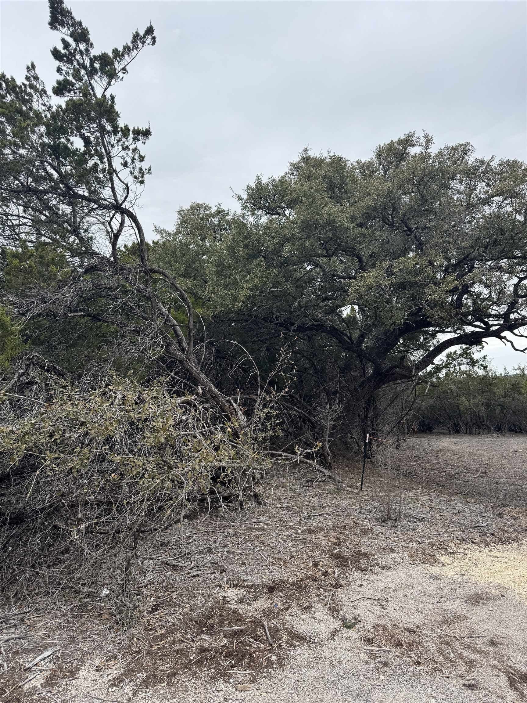 0.22 acres in Travis County featured view
