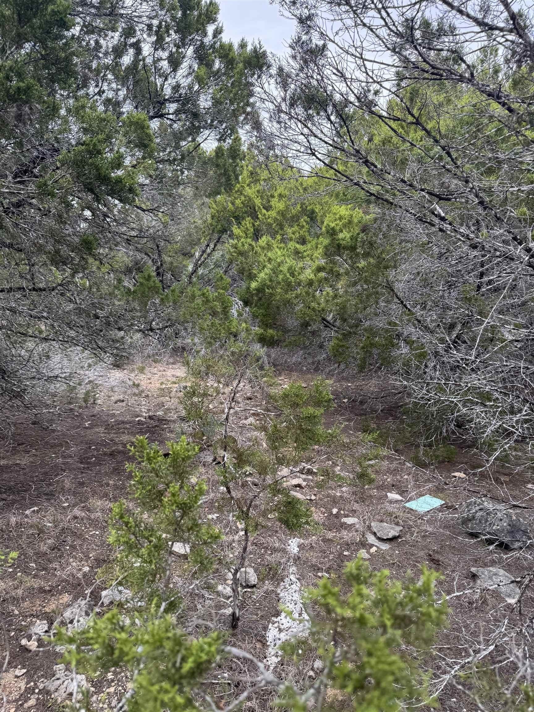 0.22 acres in Travis County gallery image 2
