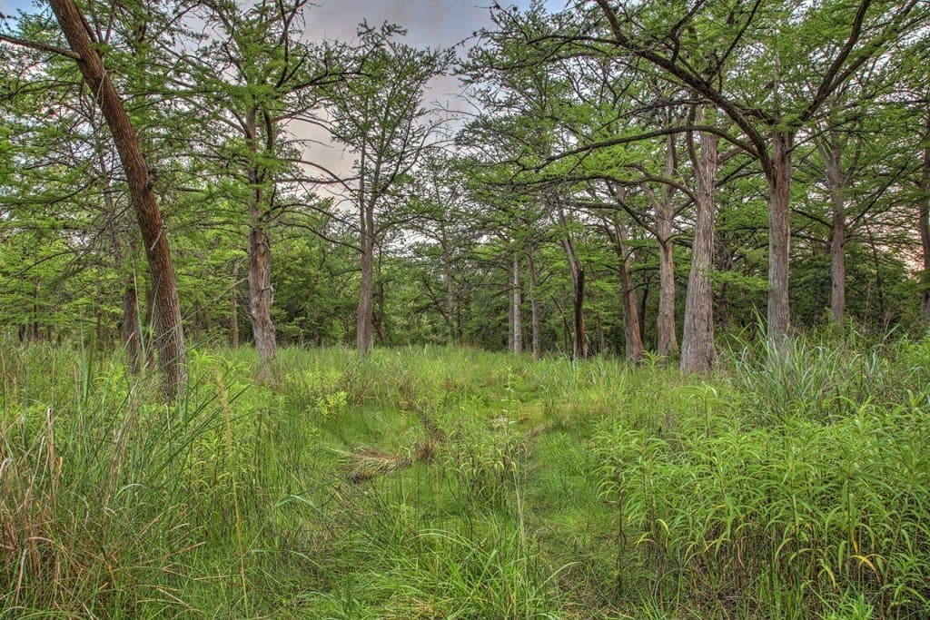 1.41 acres in Kerr County - photo 27
