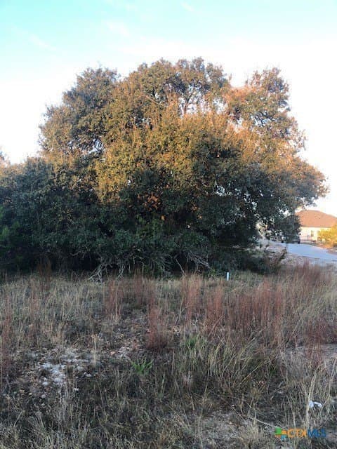 0.53 acres in Blanco County - photo 3