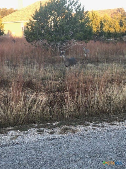 0.53 acres in Blanco County - photo 6