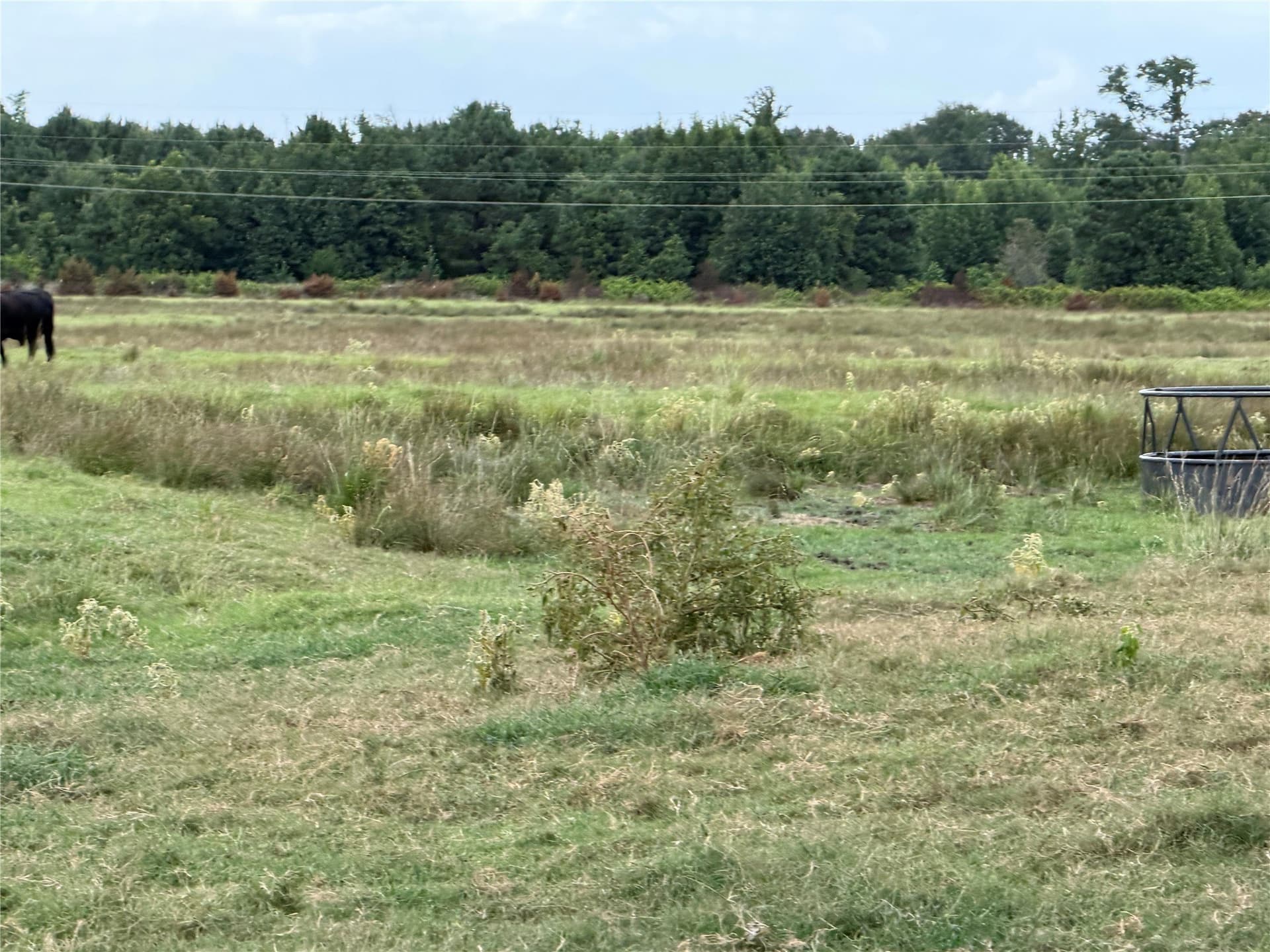 17 acres in Camp County - photo 17