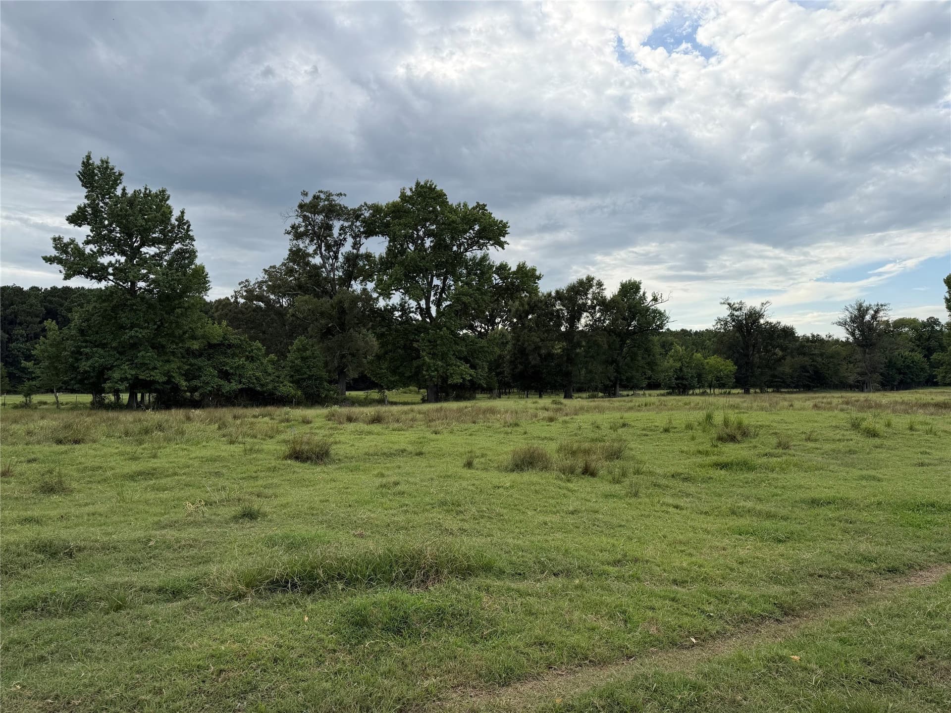 17 acres in Camp County - photo 19