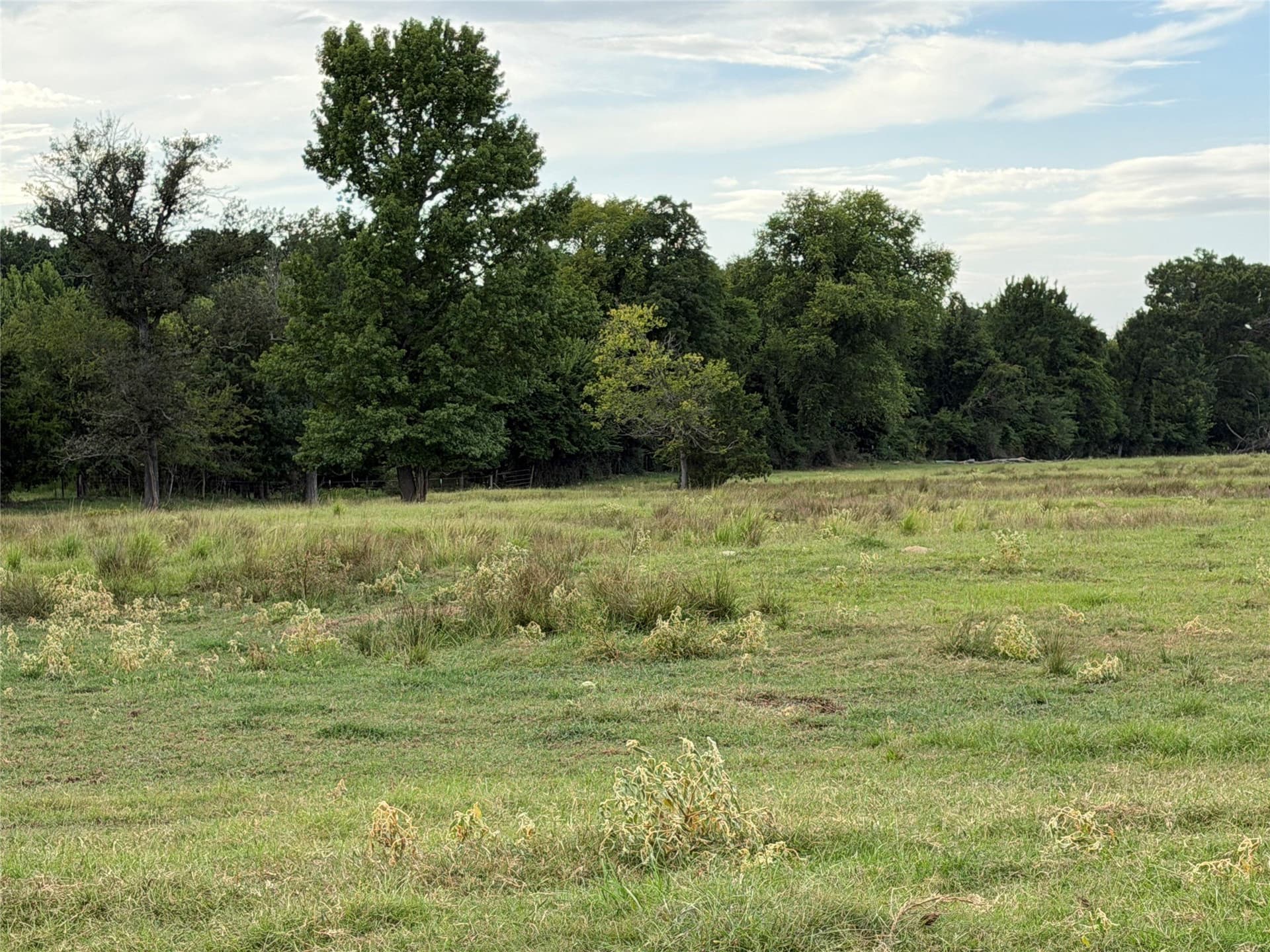 17 acres in Camp County - photo 14