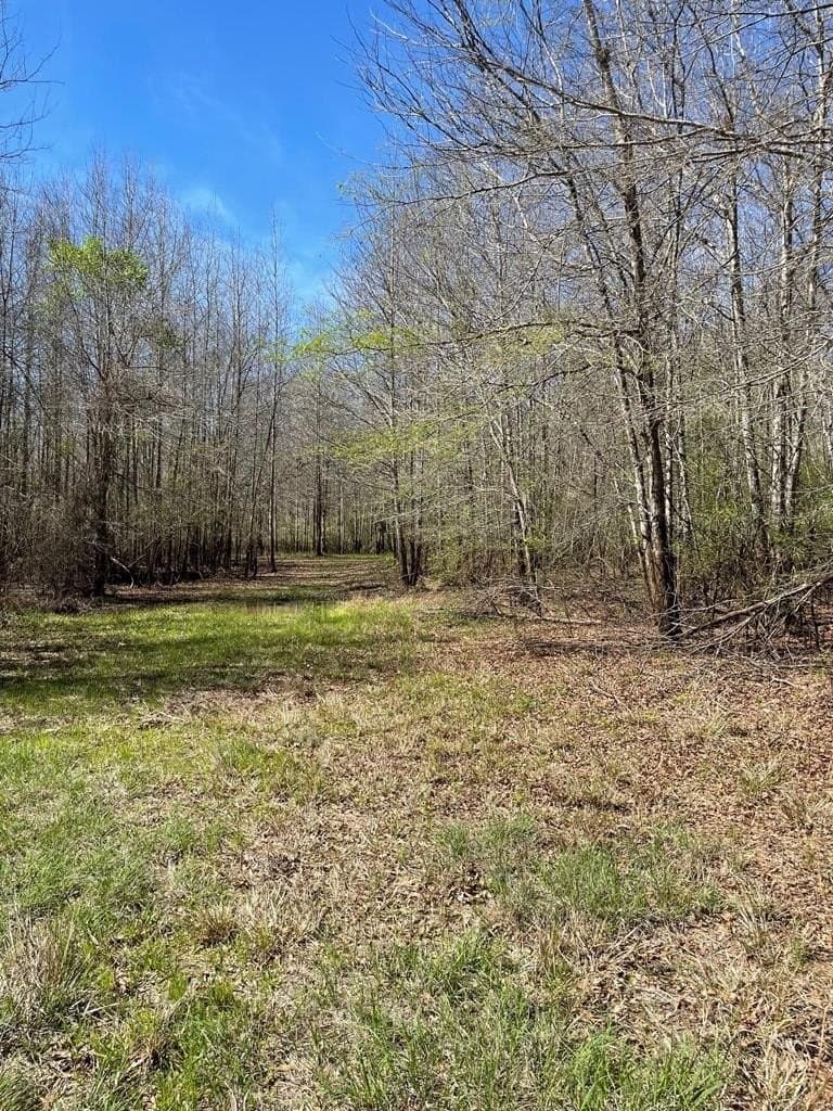 351.52 acres in Texas County - photo 4