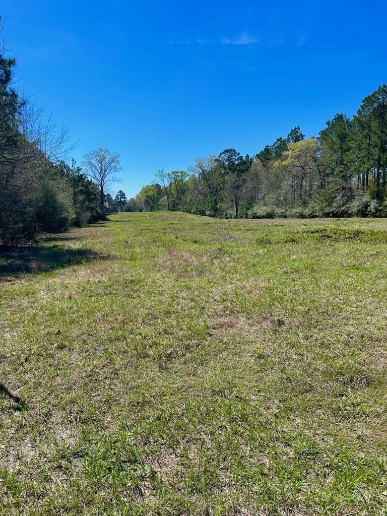 351.52 acres in Texas County - photo 16