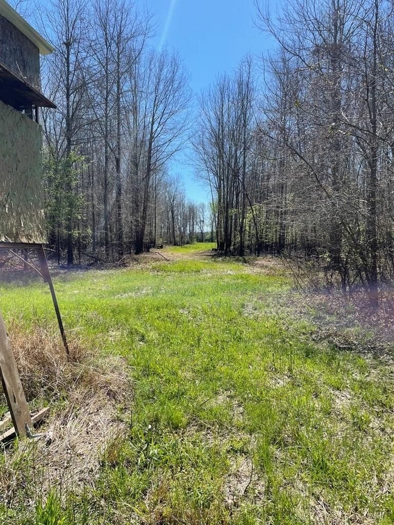 351.52 acres in Texas County - photo 6
