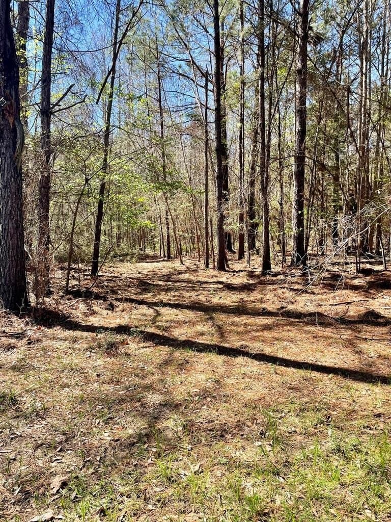 351.52 acres in Texas County - photo 15