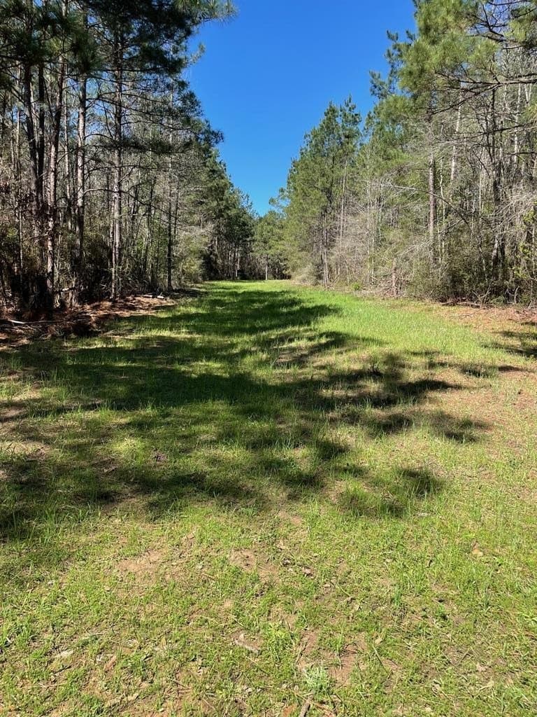 351.52 acres in Texas County - photo 13
