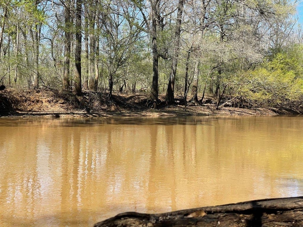 351.52 acres in Texas County - photo 9