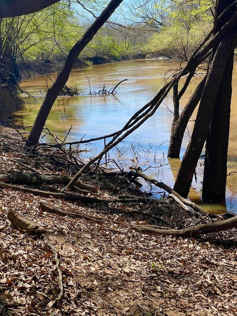 351.52 acres in Texas County - photo 7