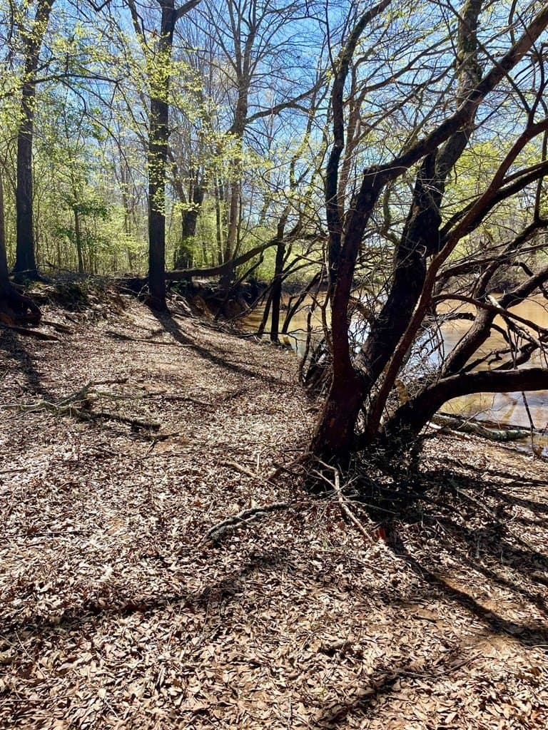 351.52 acres in Texas County - photo 10