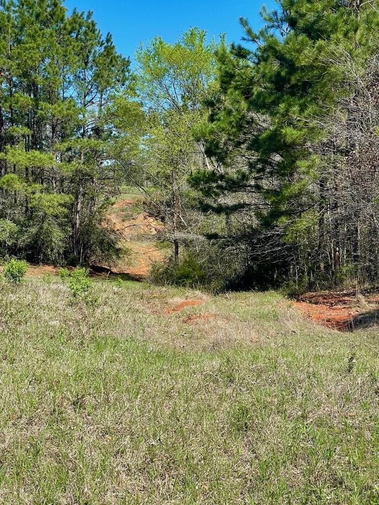 351.52 acres in Texas County - photo 17
