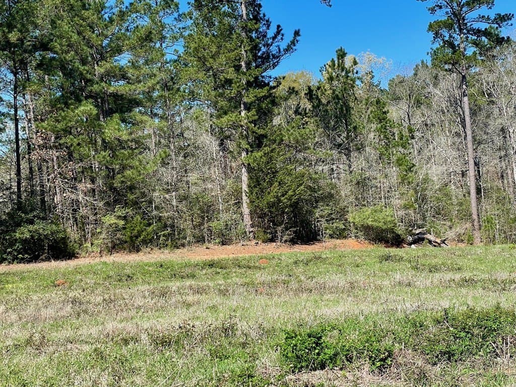 351.52 acres in Texas County - photo 3