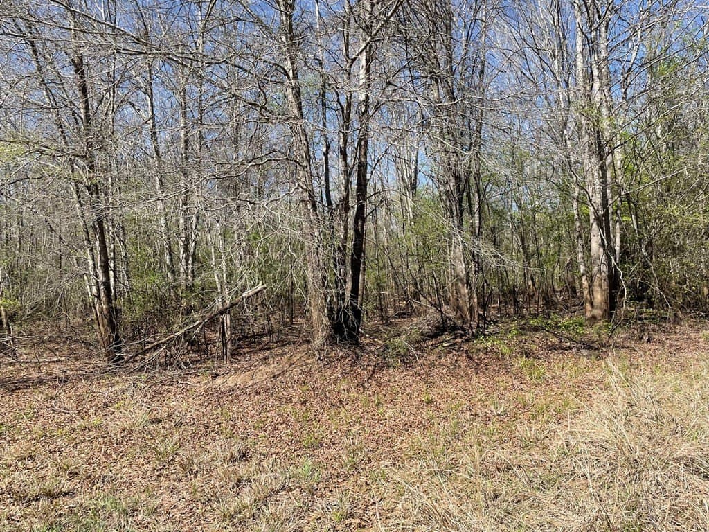 351.52 acres in Texas County - photo 5