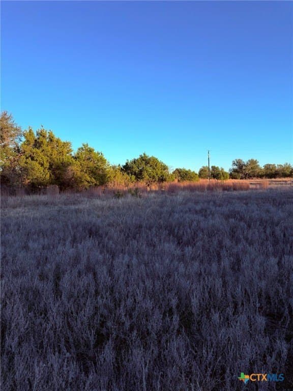 10.01 acres in Lampasas County - photo 8