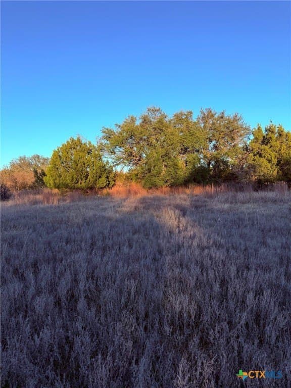 10.01 acres in Lampasas County - photo 7
